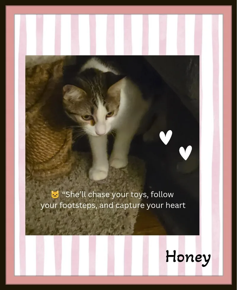 Honey — Sweetness  thumbnail 2