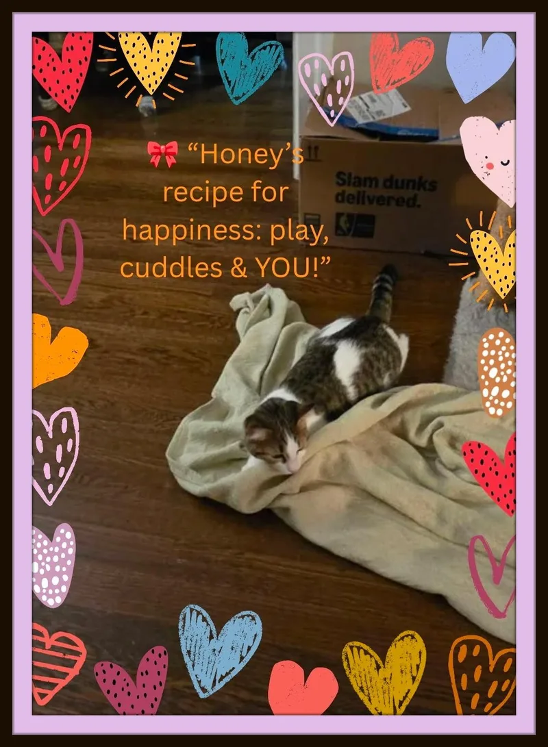 Honey — Sweetness  thumbnail 3