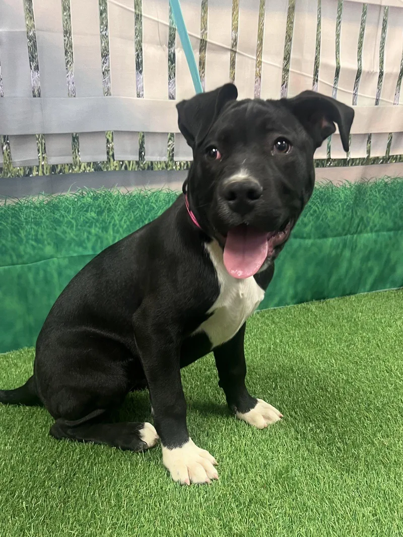 Gretchen thumbnail 2