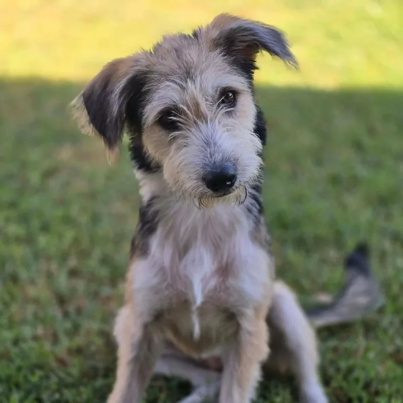 Maddie thumbnail 3