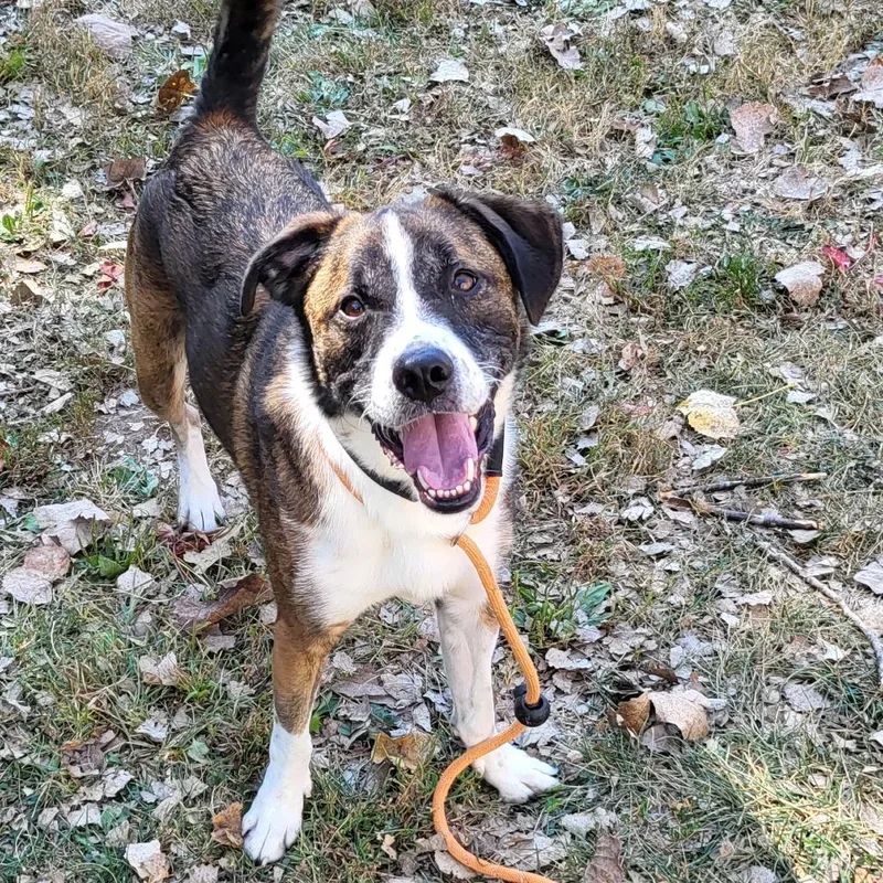 Sam Handwich thumbnail 3