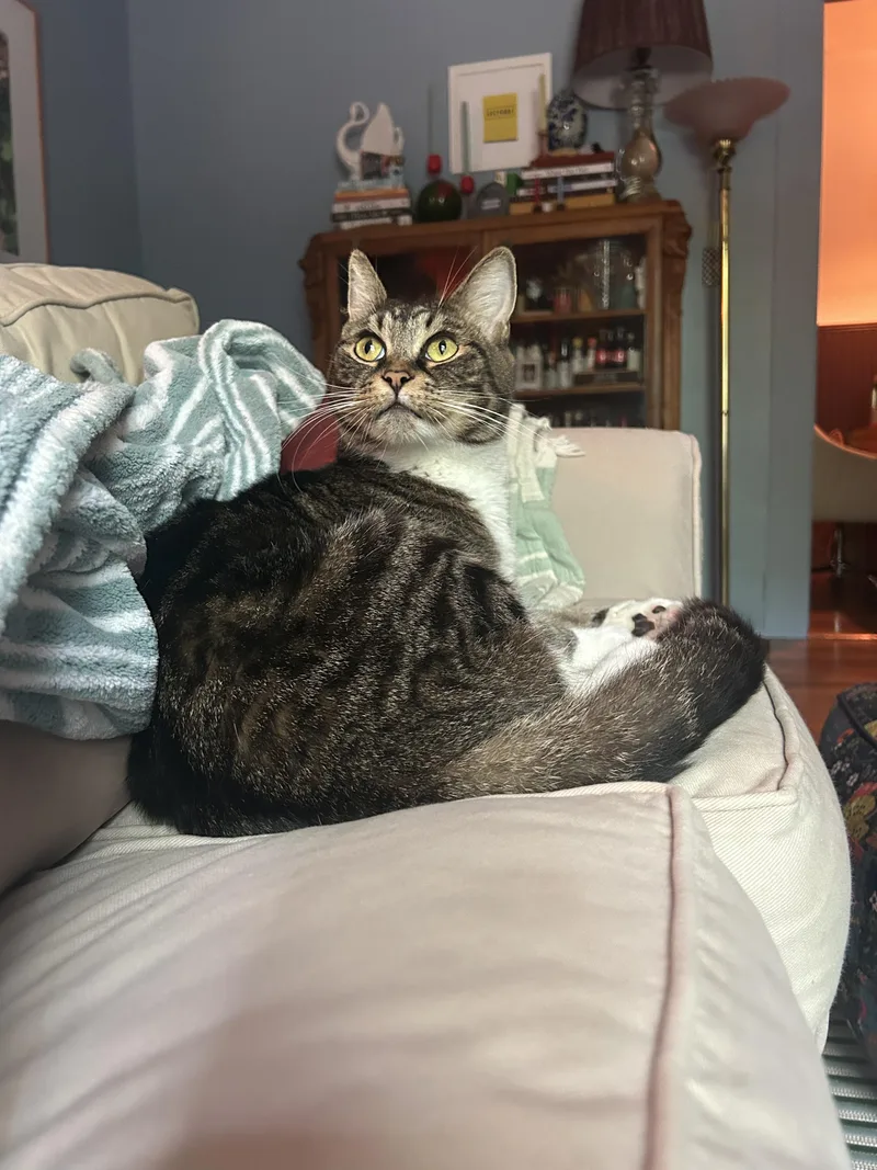 Socks thumbnail 2