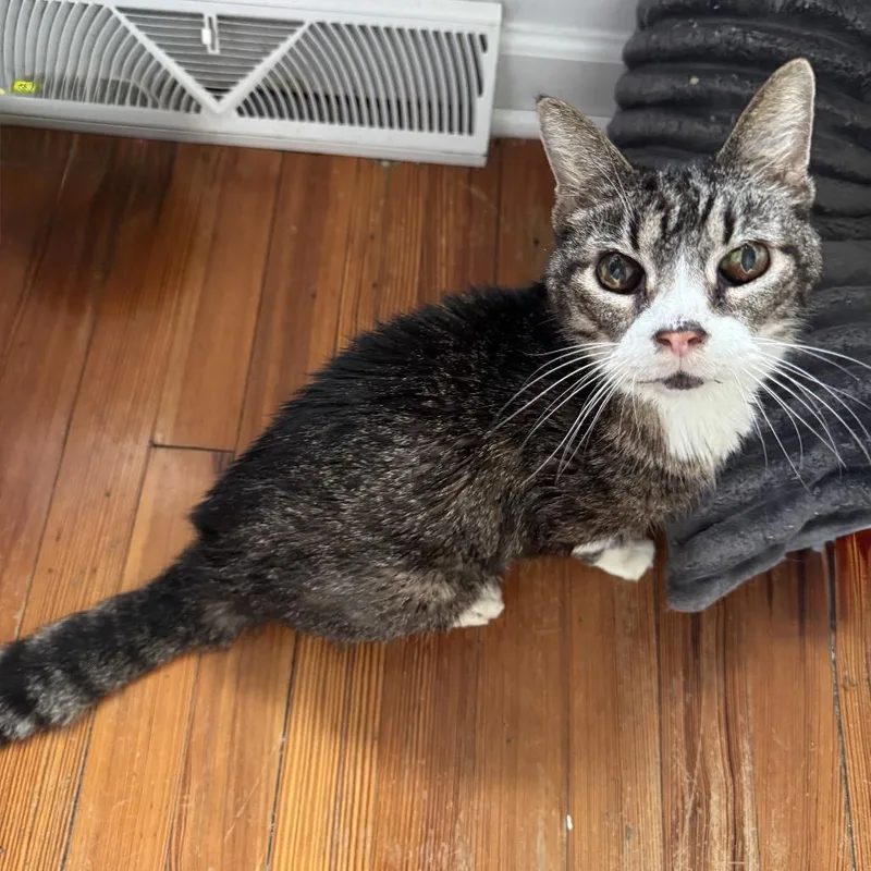 Lady Crunchie thumbnail 3