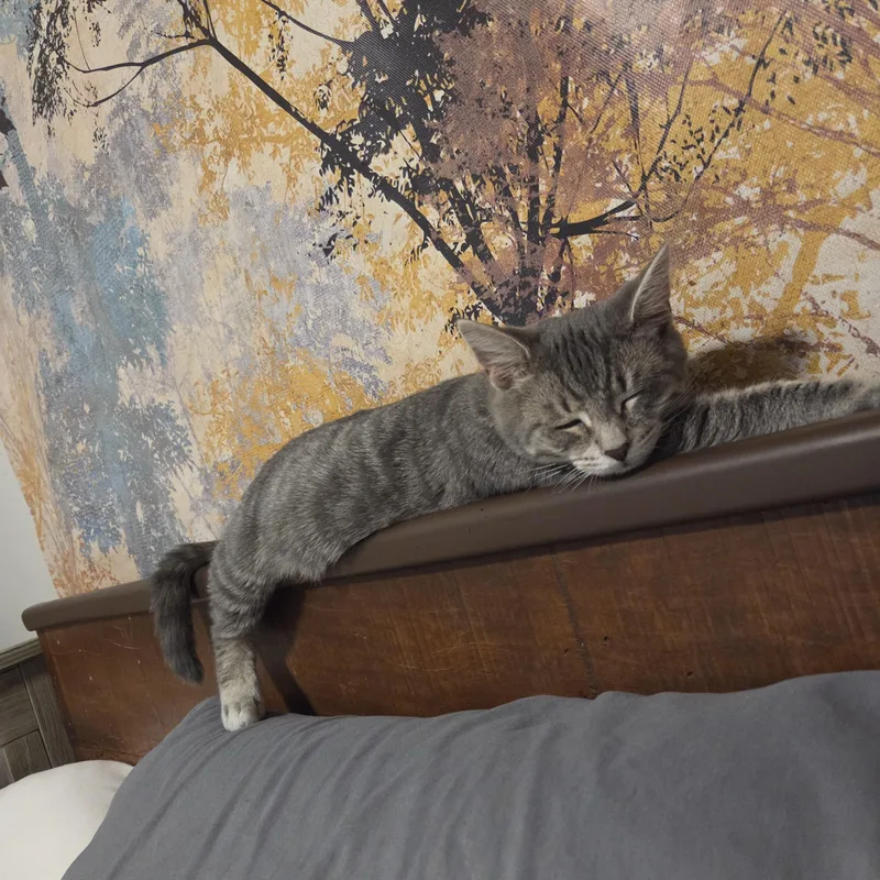 Ricky thumbnail 5