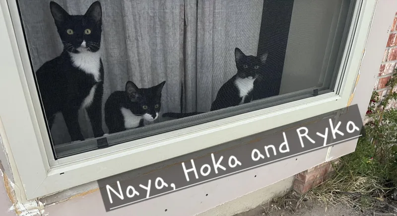 Naya thumbnail 2