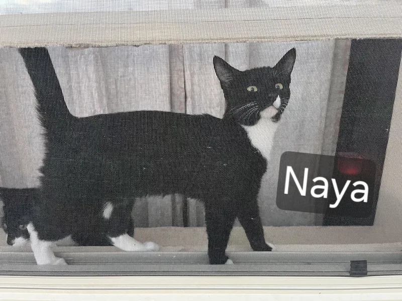 Naya thumbnail 6