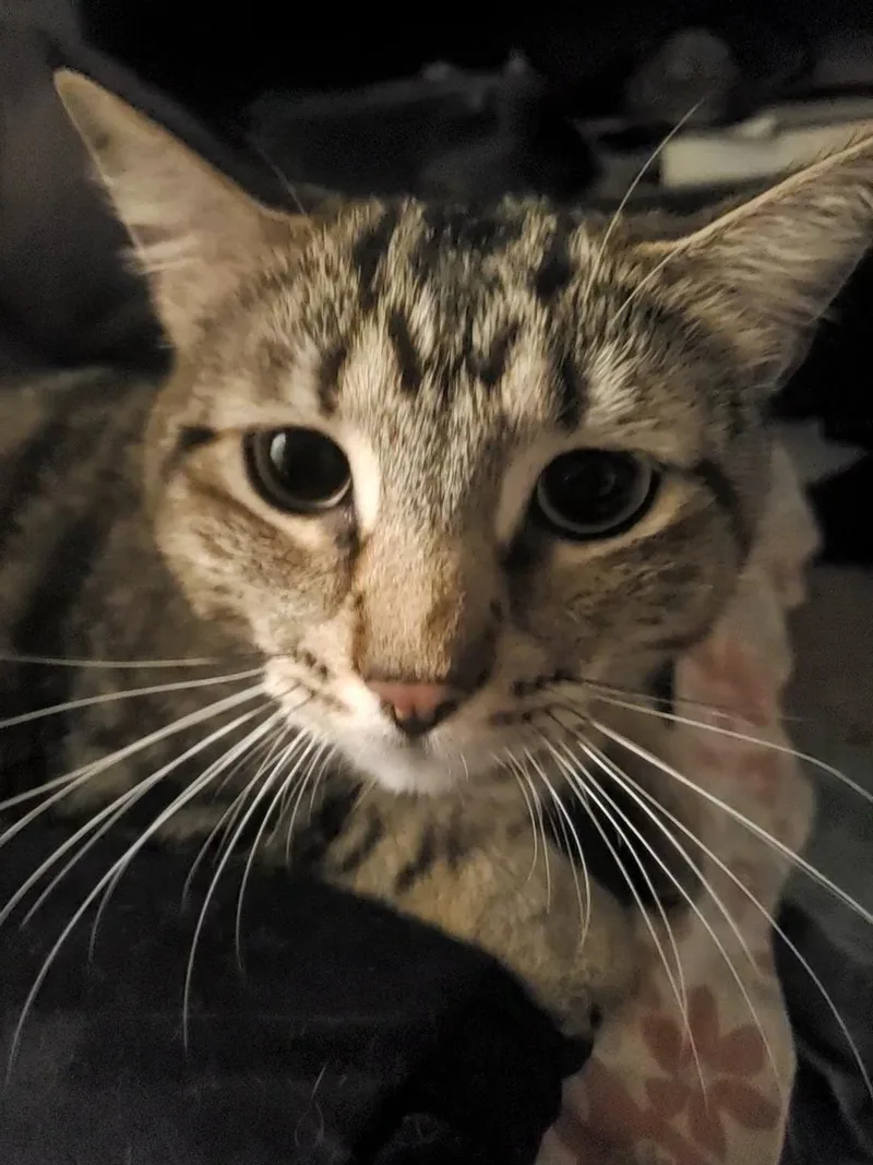 Albert thumbnail 2