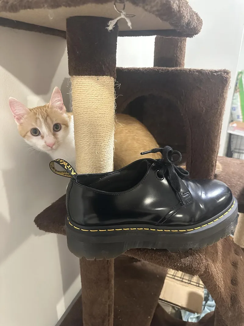 Dr. Marten thumbnail 4