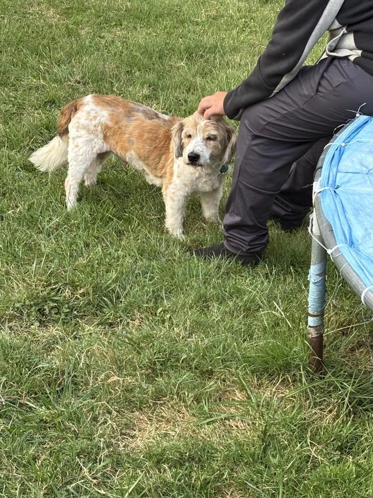 Charley thumbnail 4