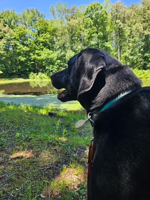 Oakley thumbnail 6