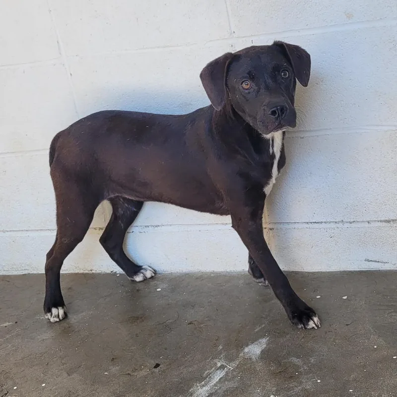 Mike N Ike thumbnail 2