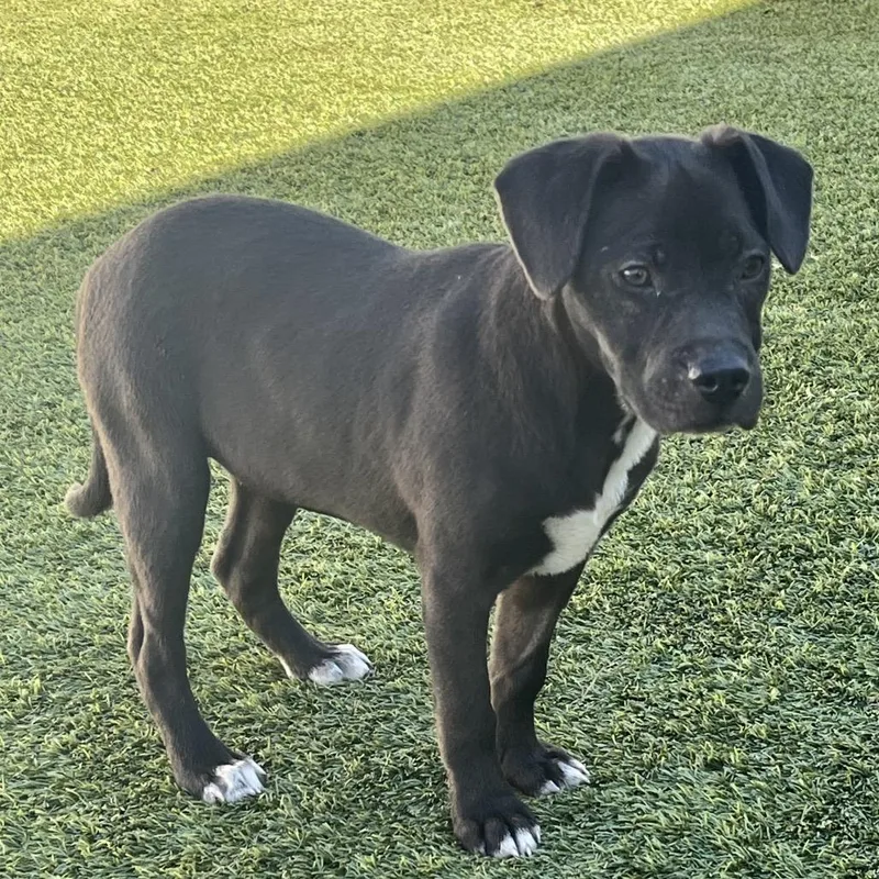 Mike N Ike thumbnail 3