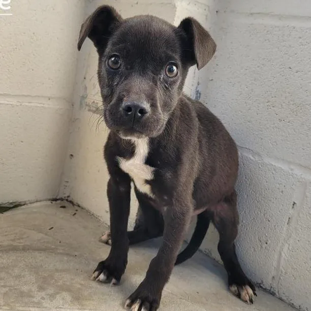 Mike N Ike thumbnail 4