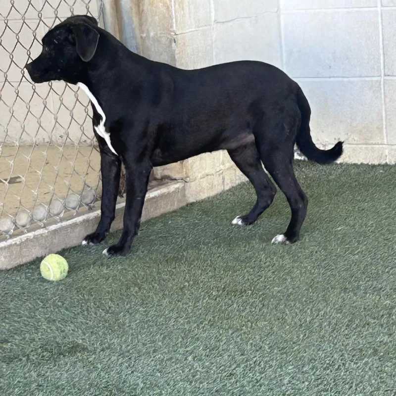 Mike N Ike thumbnail 5