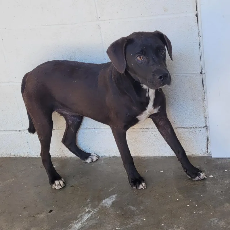 Mike N Ike thumbnail 6