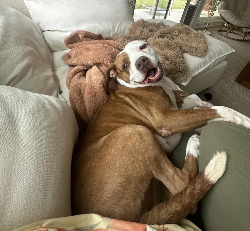 Chloe