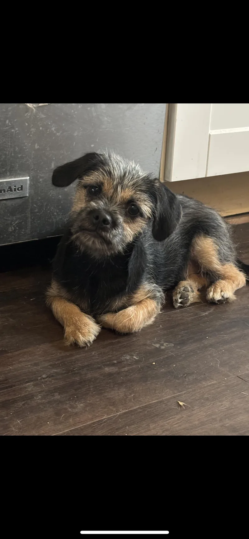 Maggie