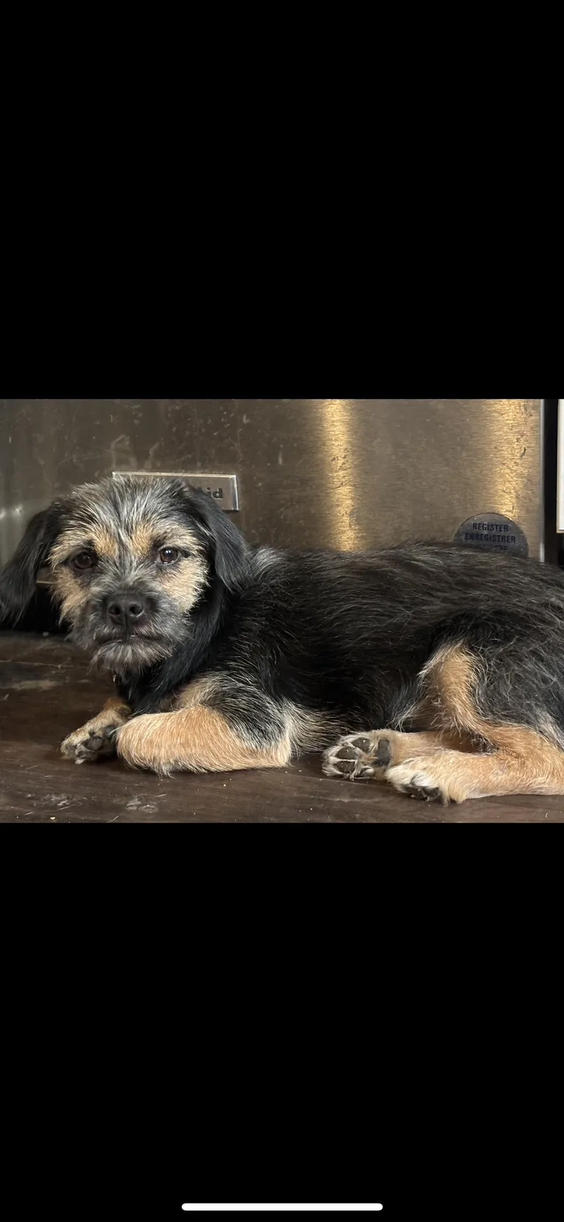 Maggie thumbnail 2