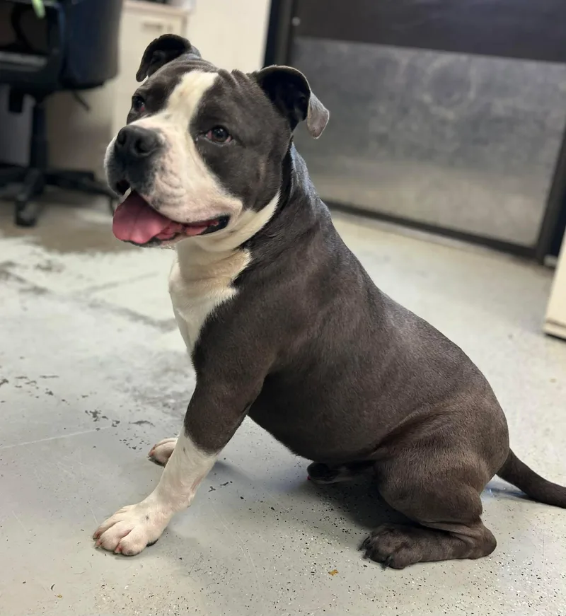 Uncle Waldo thumbnail 2