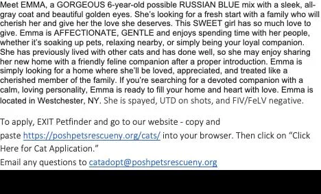 Emma thumbnail 5