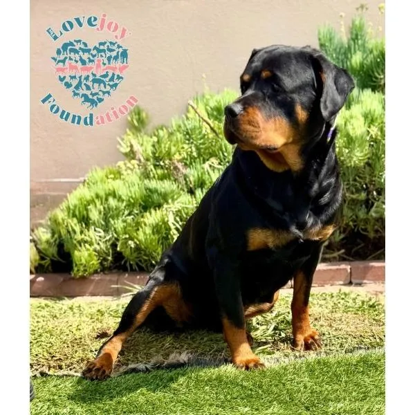 Ella RB thumbnail 2