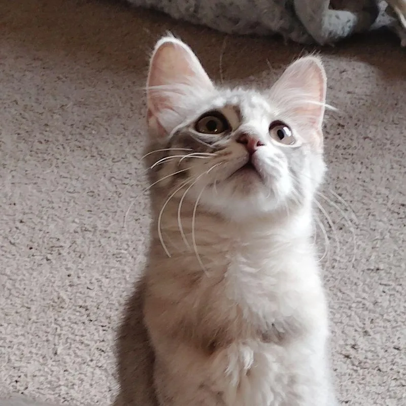 Little Marci bonded with thumbnail 2