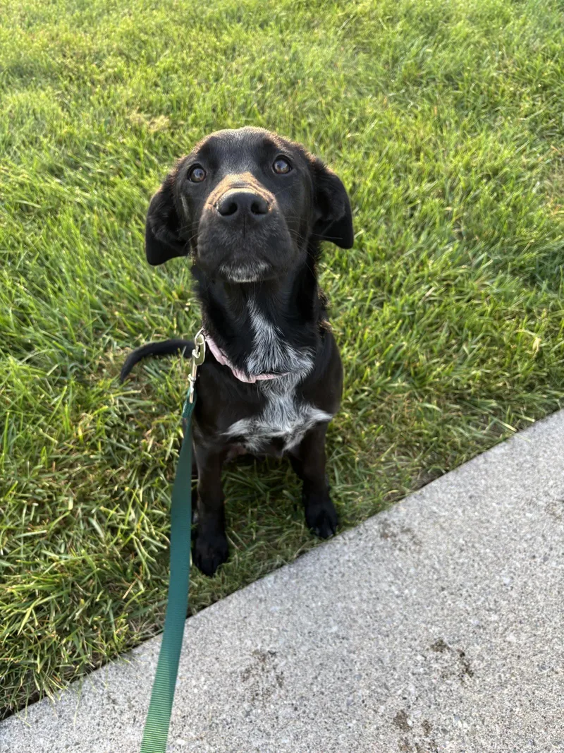 Molly