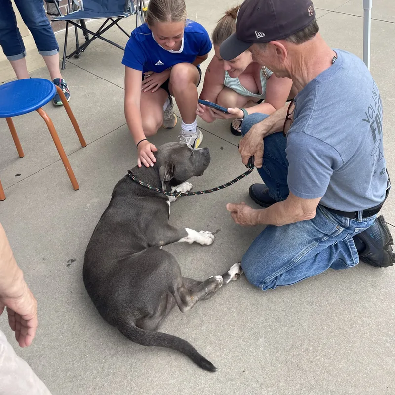 Cheeseburger thumbnail 4