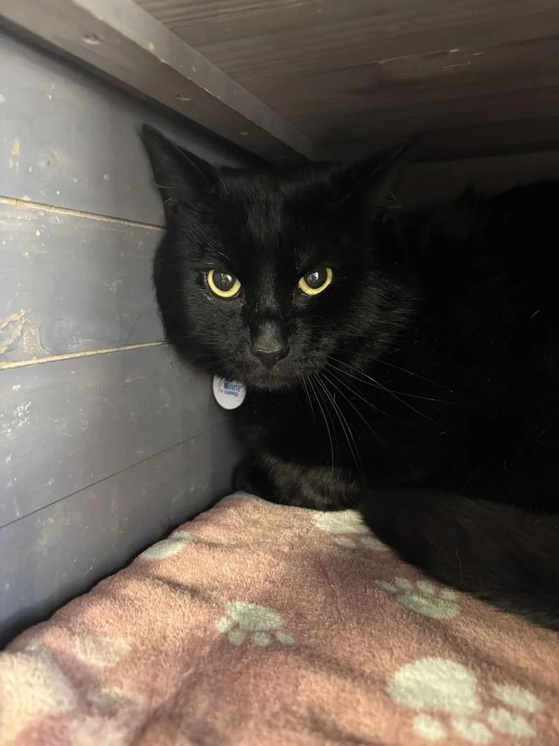 Lloyd Dobler thumbnail 2