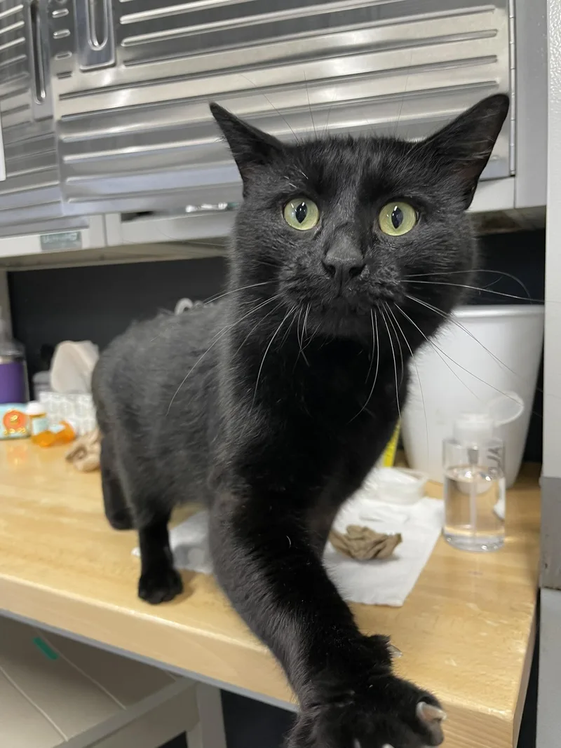 Lloyd Dobler thumbnail 3