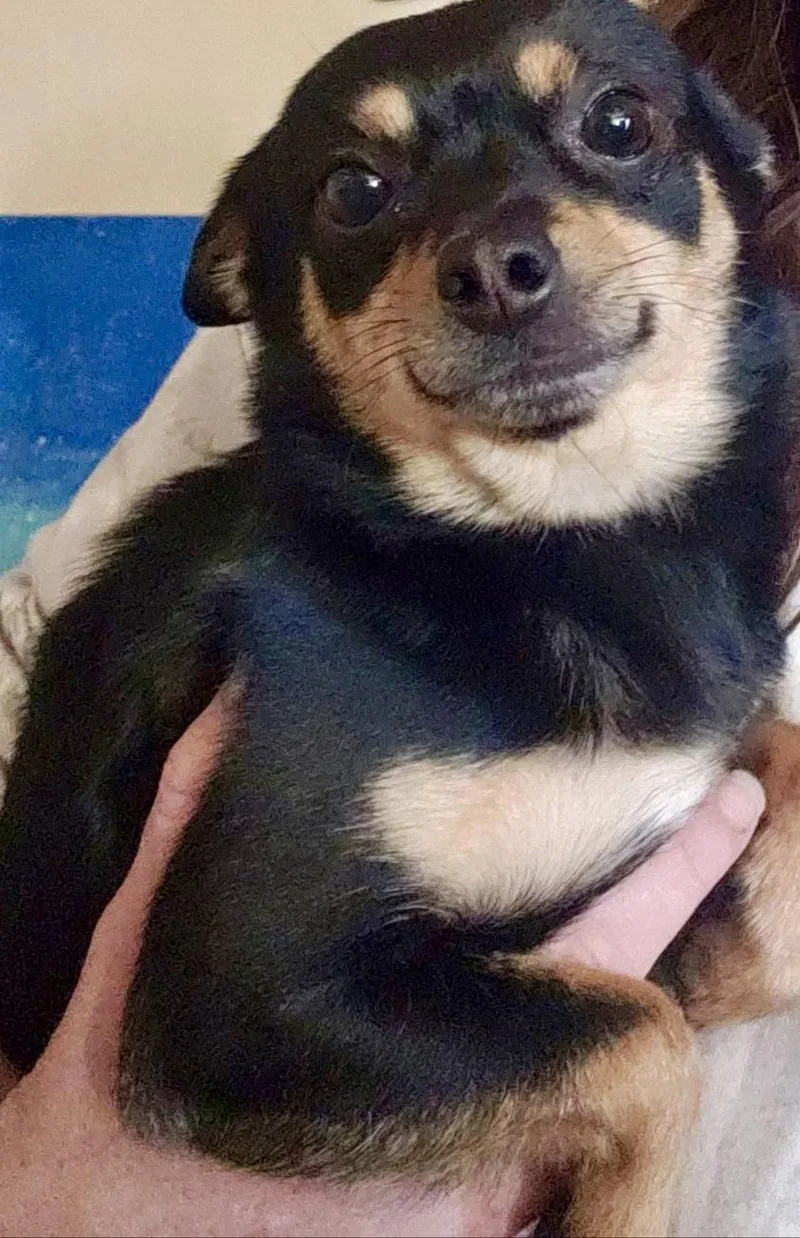 Beans bonded