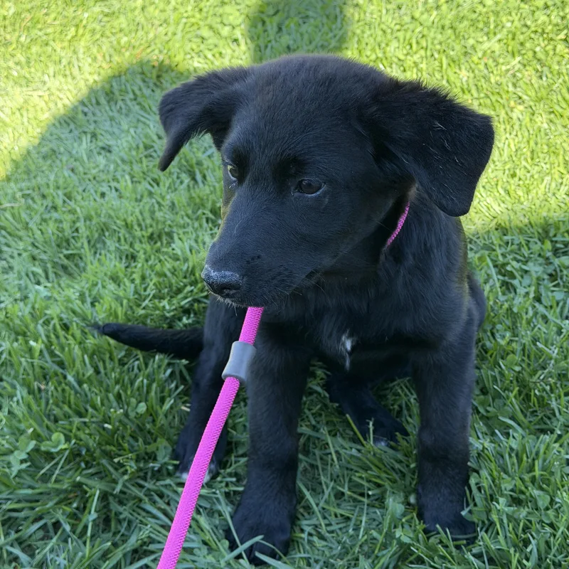 Francesca thumbnail 2