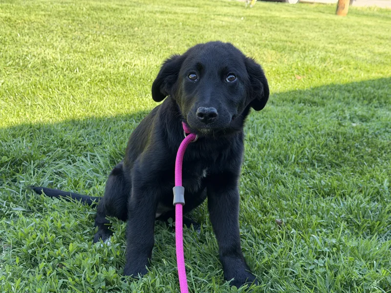 Francesca thumbnail 3