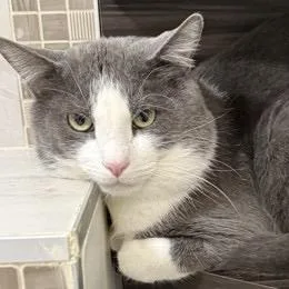 George