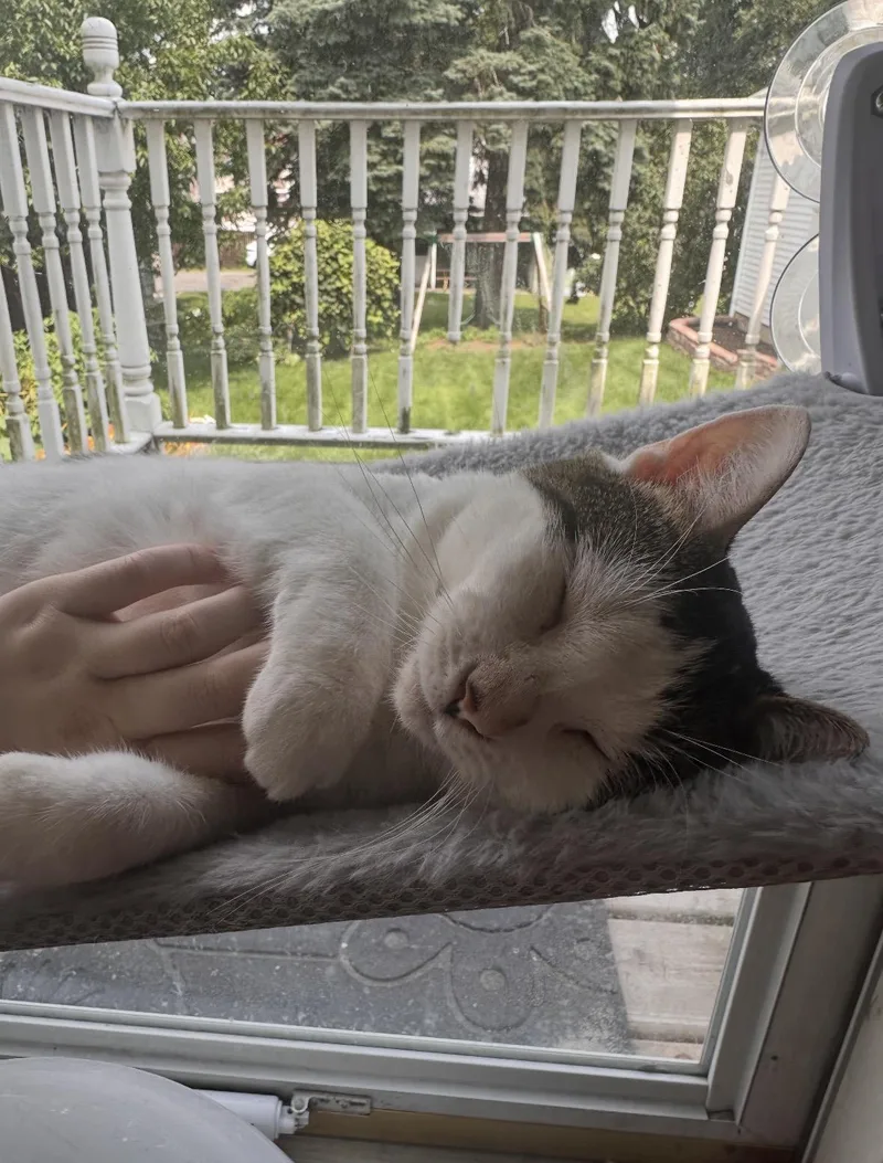 Serenity thumbnail 2