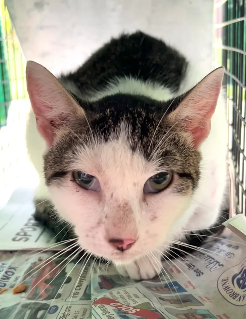 Serenity thumbnail 3