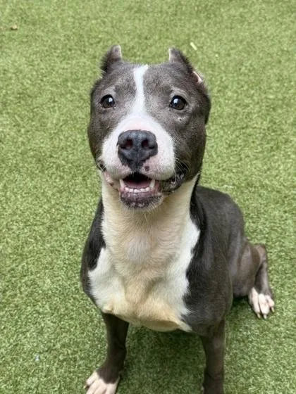 Nanny May thumbnail 2