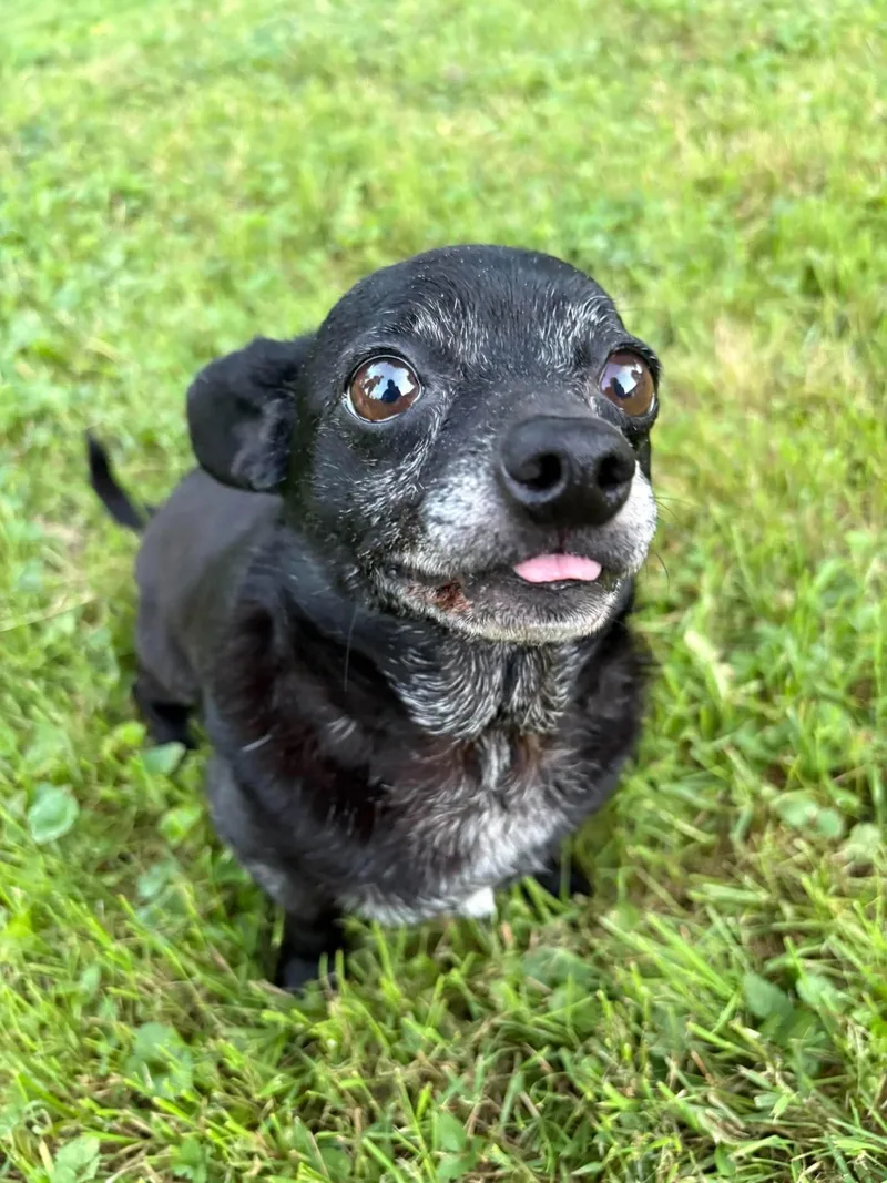 Ender sweet tiny guy thumbnail 2