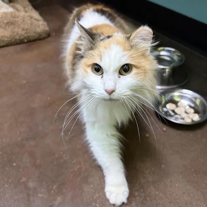 Genevieve thumbnail 2