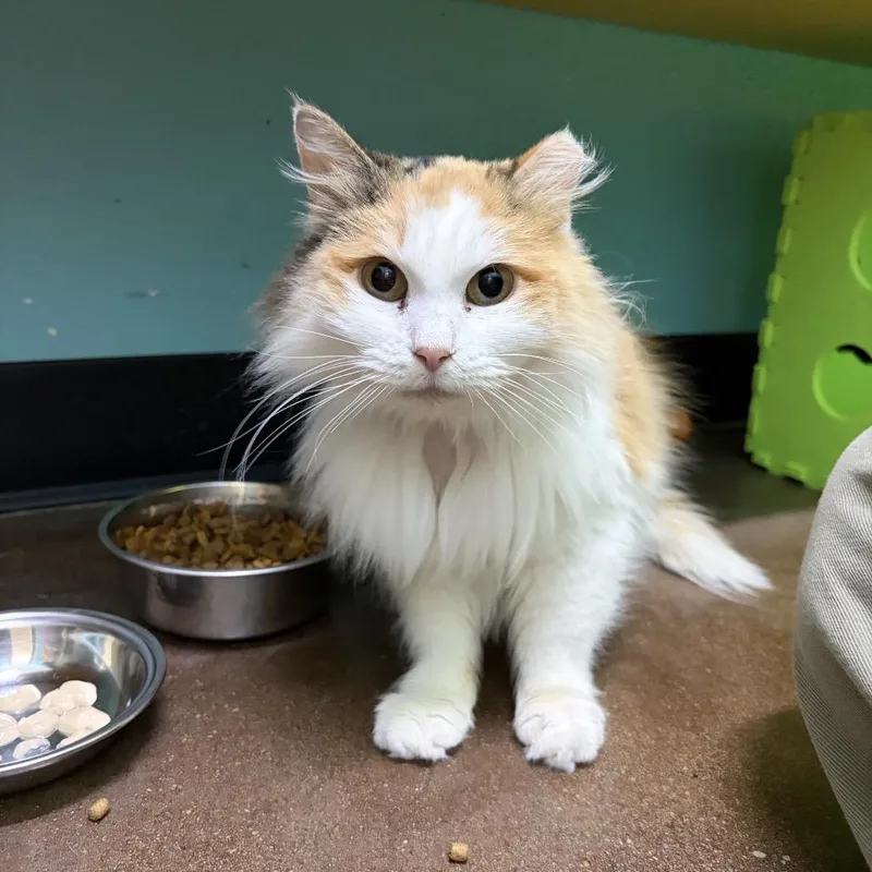 Genevieve thumbnail 3