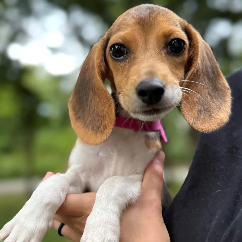 Ethel thumbnail 4