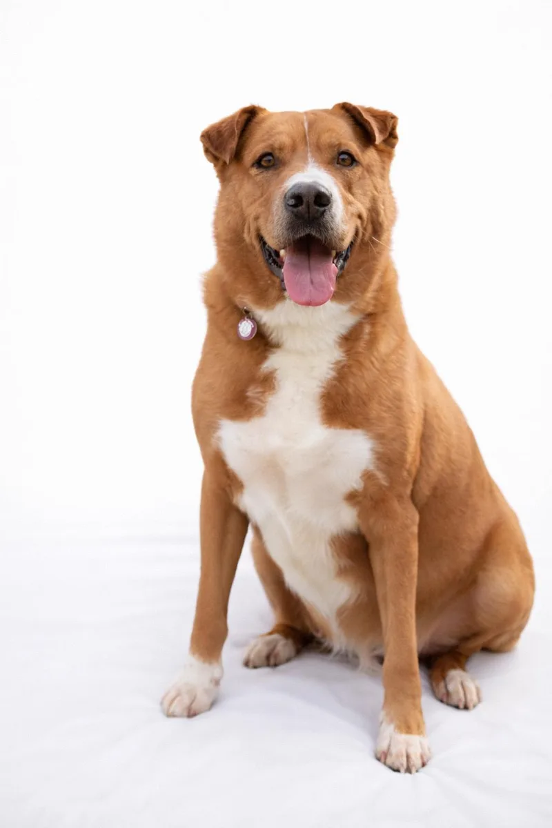 Fredrick thumbnail 2