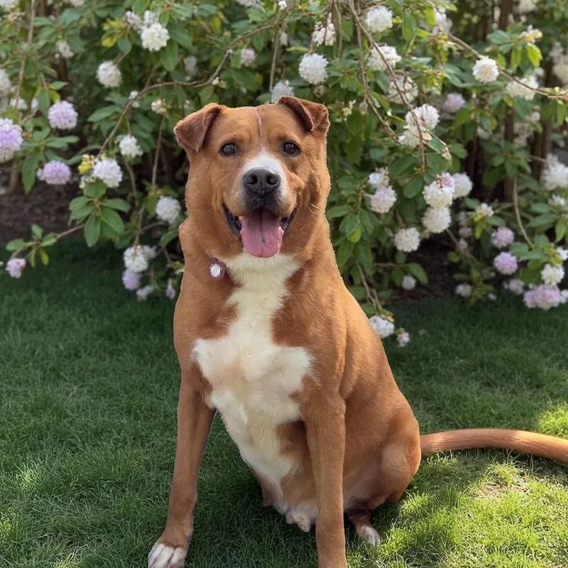 Fredrick thumbnail 3