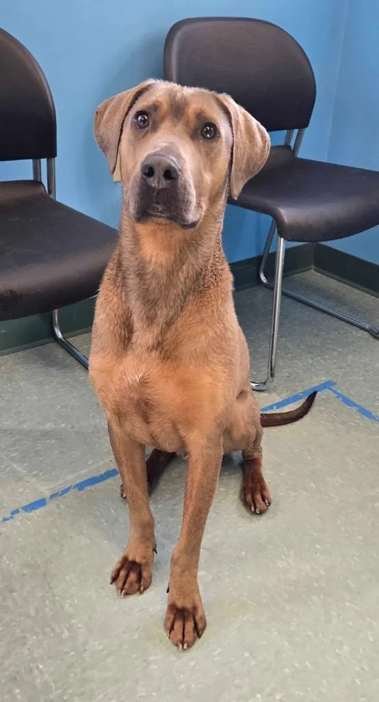 Snuggles thumbnail 2