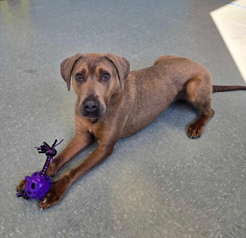 Snuggles thumbnail 3