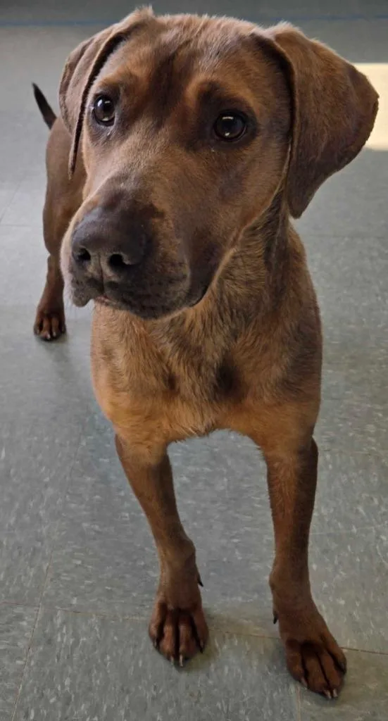 Snuggles thumbnail 4