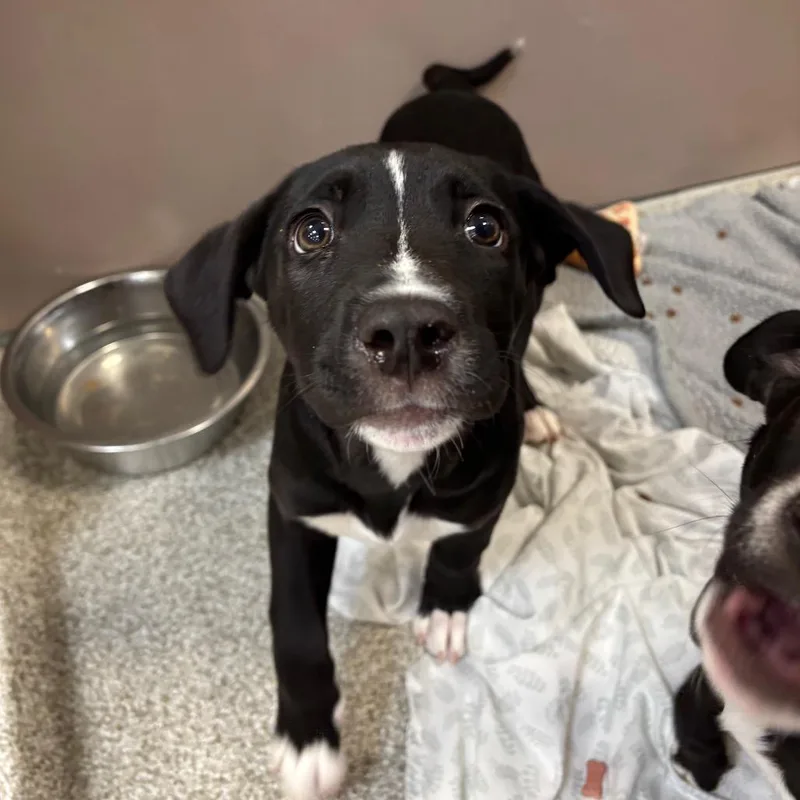 Sally Mae thumbnail 3
