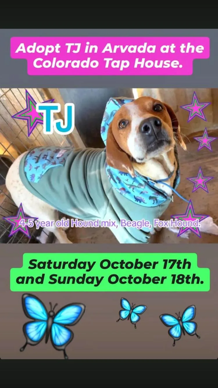 Tj thumbnail 3