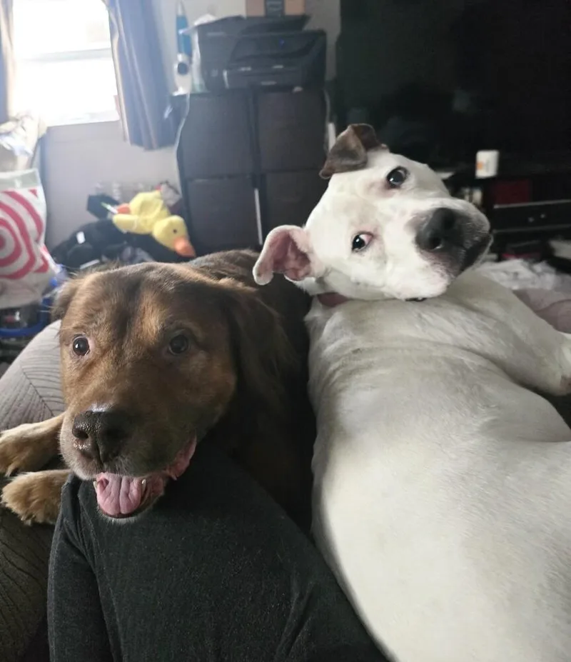 Jasmine The Jolly thumbnail 2