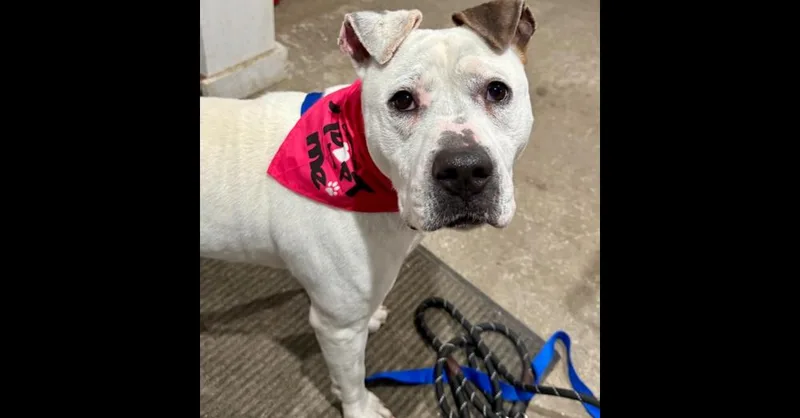 Jasmine The Jolly thumbnail 3